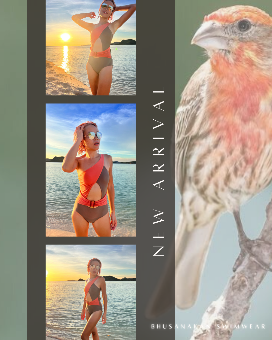 House Finch One-Piece Swimsuit