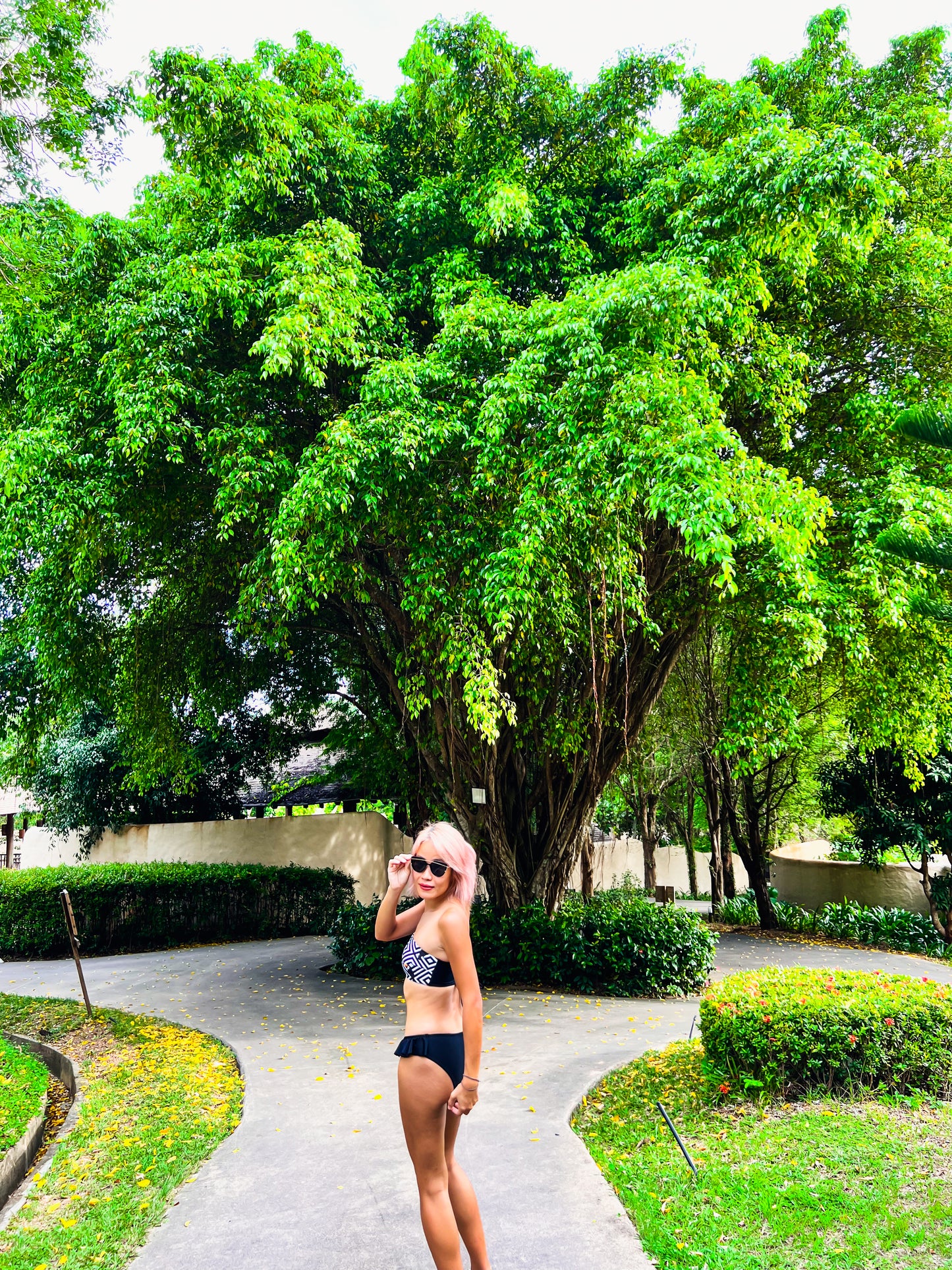 BHUSANAKAN SWIMWEAR Toucan 3-piece set บิกินี่เซ็ต3ชิ้น คุ้มๆค่ะ ได้กางเกง2แบบ ใส่ได้หลากหลาย ทั้งกางเกงเอี๊ยมและบิกินี่