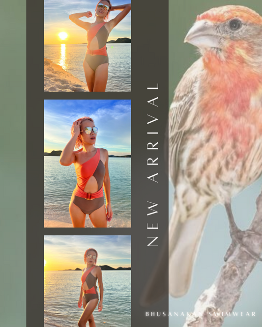 "House Finch" One-Piece Swimsuit